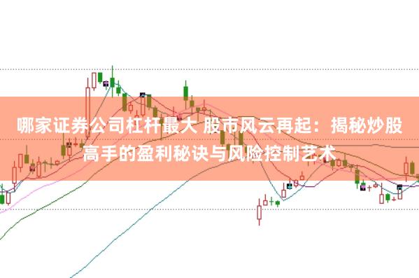 哪家证券公司杠杆最大 股市风云再起：揭秘炒股高手的盈利秘诀与风险控制艺术
