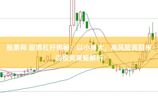 股票网 股票杠杆揭秘：以小博大，高风险高回报的投资策略解析