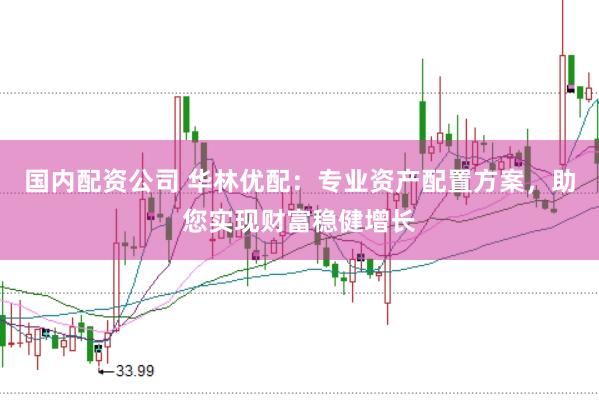 国内配资公司 华林优配：专业资产配置方案，助您实现财富稳健增长