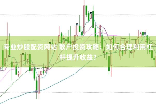 专业炒股配资网站 散户投资攻略：如何合理利用杠杆提升收益？