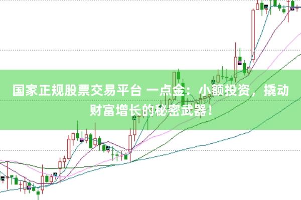 国家正规股票交易平台 一点金：小额投资，撬动财富增长的秘密武器！