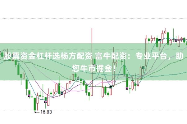 股票资金杠杆选杨方配资 富牛配资：专业平台，助您牛市掘金！
