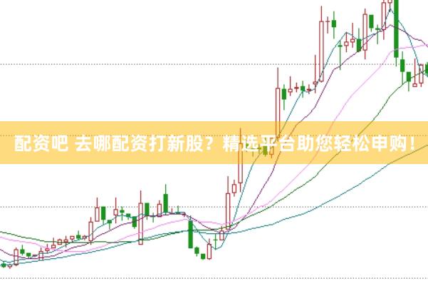配资吧 去哪配资打新股？精选平台助您轻松申购！