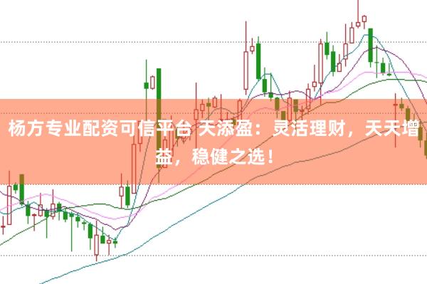 杨方专业配资可信平台 天添盈：灵活理财，天天增益，稳健之选！