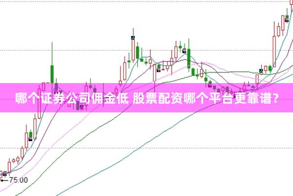 哪个证券公司佣金低 股票配资哪个平台更靠谱？