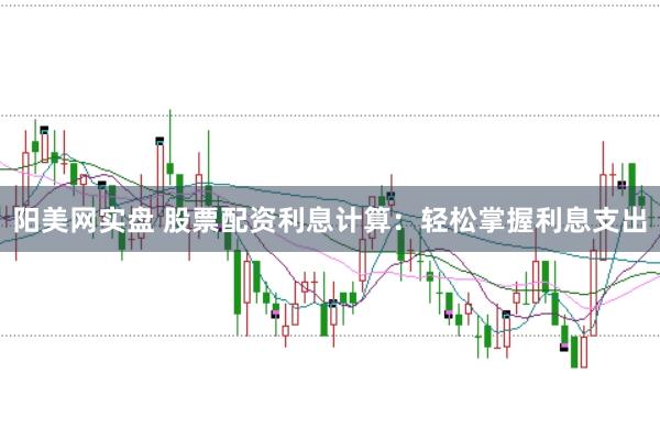 阳美网实盘 股票配资利息计算：轻松掌握利息支出