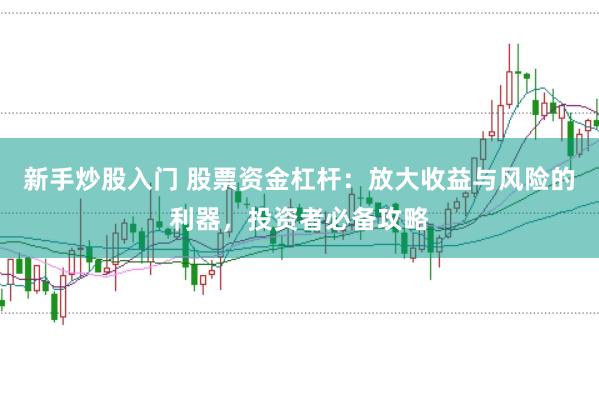新手炒股入门 股票资金杠杆：放大收益与风险的利器，投资者必备攻略