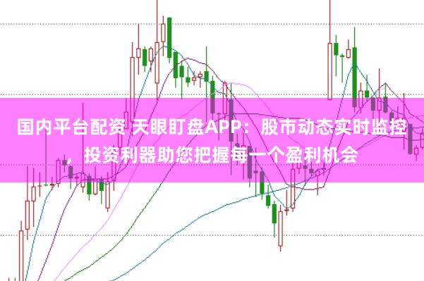 国内平台配资 天眼盯盘APP：股市动态实时监控，投资利器助您把握每一个盈利机会